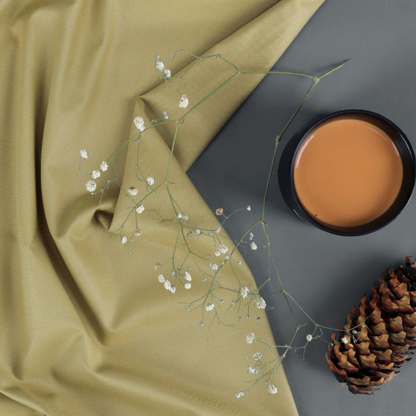 Noorani Ankara - Camel